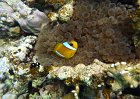 2011 Marsa Alam